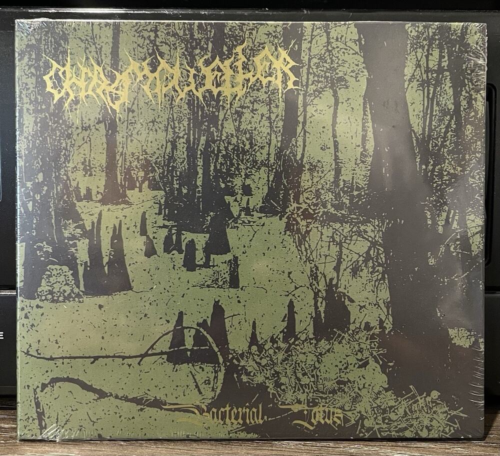CHASMDWELLER - Bacterial Lotus Brand New Sealed Rock Death Metal Black Metal